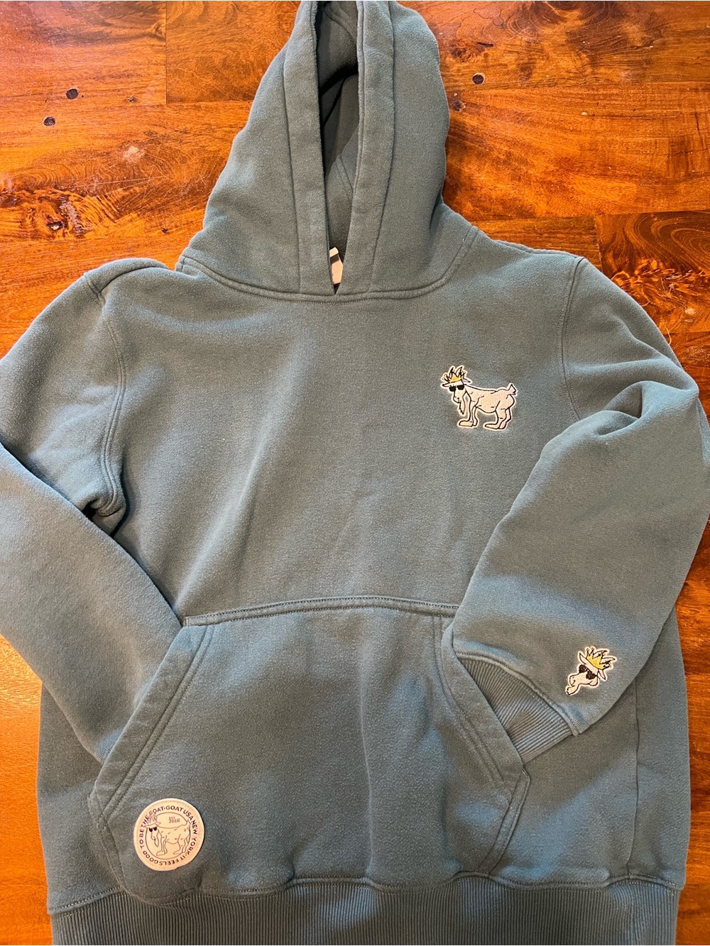 GOAT - Blue/Green Graphic Hoodie with Goat Patch Kids Size XL